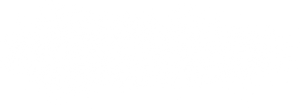 Steed Speed