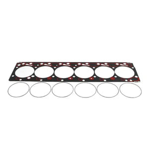 1989-1998 Cummins Fire Ring Head Gasket Kit (PDM-4068C)-Fire Ring Gasket-Industrial Injection-PDM-4068C-Dirty Diesel Customs