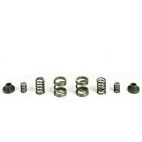 1994-1998 Cummins Governor Spring Kit (HP10029)-Governor Springs-PACBRAKE-Dirty Diesel Customs