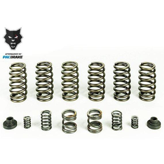 1994-1998 Cummins Valve & Governor Spring Kit w/ 6 Valve Springs (HP10246)-Governor Springs-PACBRAKE-Dirty Diesel Customs